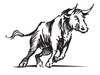 Line drawing of an aggressive attacking bull
