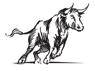 Fototapeta premium Line drawing of an aggressive attacking bull