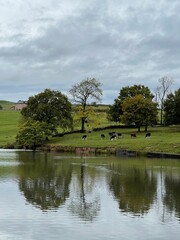 Reflections of trees in the lake and a dramatic sky background. Taken in Bury Lancashire England. 