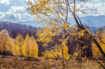 Carpathian mountains in the autumn landscape scene.