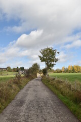 Fototapeta na wymiar Single track road in the countryside with trees and fields. Taken in Bury Lancashire England. 