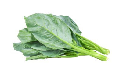 Chinese kale vegetable isolated on transparent png