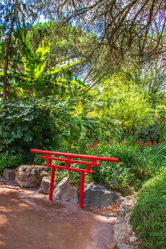 Jardin Botanique De Style Japonais	