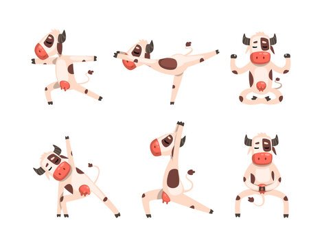 Funny Spotted Cow Character Doing Yoga Standing in Asana Vector Set