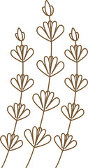 Botanical Line Art Floral