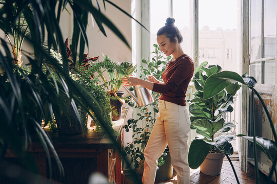 Beautiful young woman watering houseplants while standing at the domestic room
