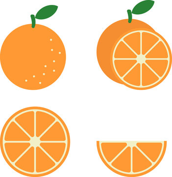 Orange, vector. Whole orange and orange orange slices on a white background.