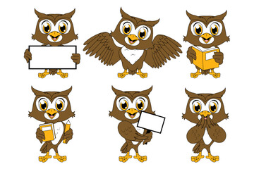 cute owl animal cartoon graphic
