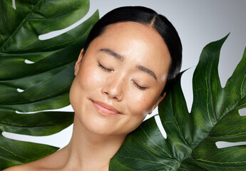 Face, beauty and palm leaves with a model asian woman in studio on a gray background for skincare....