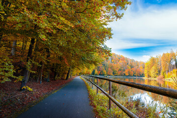 Obraz premium Road along the Vltava river in the autumn season.