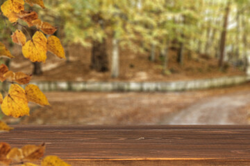 Naklejka na ściany i meble Desk of free space and autumn forest. 