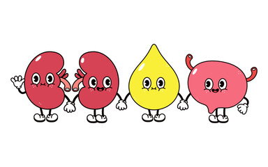 Cute, funny happy drop of urine bladder and kidneys character. Vector hand drawn cartoon kawaii characters, illustration icon. Funny cartoon stomach and bladder friends concept