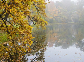 Autumn day in the park. Gold autumn. Trees and lake.