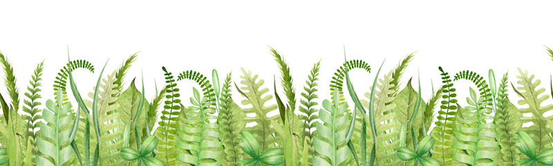 Green grass and fern seamless border. Watercolor hand drawn illustration. Field green lush grass decoration element. Meadow plants, ferns, spikes natural seamless border © anitapol