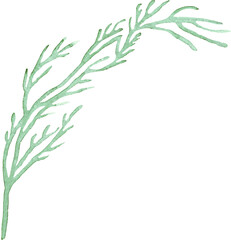 Twig. Watercolor clipart. Hand-painted illustration