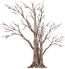 Fototapeta na wymiar silhouette of a tree