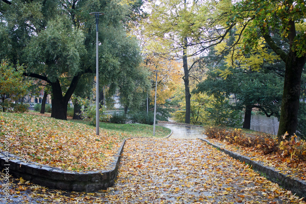 Poster alley with yellow leaves in city park