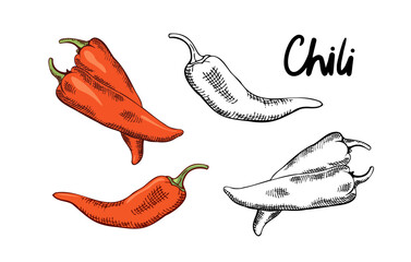 a set of chili peppers in color and colorless versions, contour drawing by hand with hatching