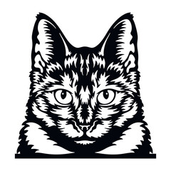 Tortoiseshell Cat Vector, Peeking Cats, Cats Breed, Pet Vector portrait, Cats Head