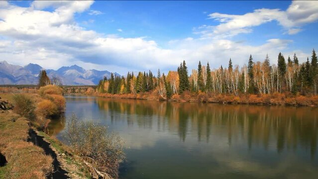 Autumn landscape with yellowed bushes and forest along banks of Irkut River against backdrop of mountain range of Eastern Sayan Mountains on September day. Baikal region, Buryatia, Tunka  valley