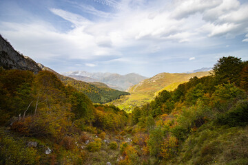 Vallon automnale des Pyrénées Françaises