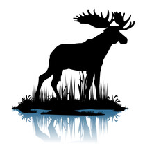 Elk with big antlers male. Silhouette picture. Animals in wild. Overgrown river bank. Island in the water. Isolated on white background. Vector.