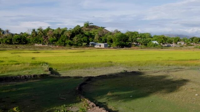 View of beautiful scenic landscape of rural countryside, farmland and rice paddies in Manatuto municipality, Timor Leste in Southeast Asia
