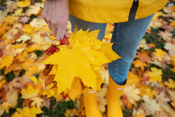 bright autumn. girl in yellow rubber boots walking