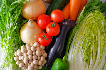 カラフルで新鮮なたくさんの野菜