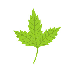 Simple green leaf vector flat illustration. - 541207307