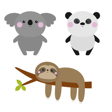 Slothn on branch koala panda bear set icon. Cute kawaii cartoon baby character. Pink cheek. Happy Valentines Day. Greeting card. Notebook cover, tshirt print. White background. Flat design.