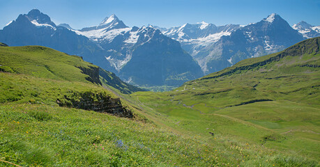 Fototapeta na wymiar wide green pasture in front of alpine landscape Bernese Oberland, tourist resort Grindelwald