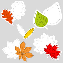 Leaves label, oak, maple, chestnut leaf. Green, orange, yellow, autumn labels.