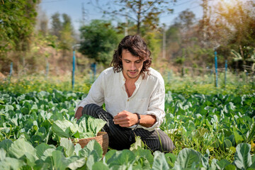 In Rural, a young farmer looks admiringly on his newly planted kale crops, which are productive and...