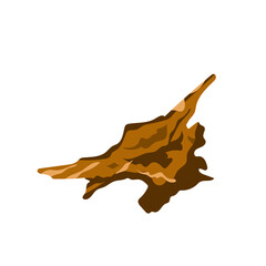 Obraz premium aquascape wood decoration