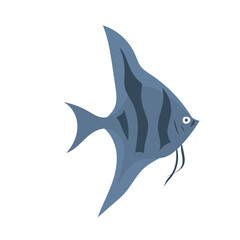 discus fish aquascape