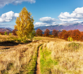 An amazing autumn panorama with a picturesque sky. Colorful autumn sunset in the Carpathians, Ukraine, Europe. Photo processing in an artistic style