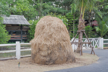 Large piles of hay were prepared for the animals to eat.