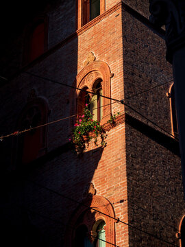 Building with a window and flowers on street of Bologna - Bologna, Italy