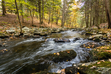 Naklejka na ściany i meble Stokes State Forest in Sussex County, NJ, is basked in brilliant autumn colors as the Flatbrook gently graces the rocks