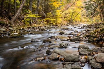 Stokes State Forest in Sussex County, NJ, is basked in brilliant autumn colors as the Flatbrook...