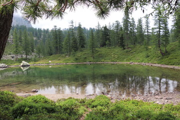 trees's reflection in a lake in the moutains
