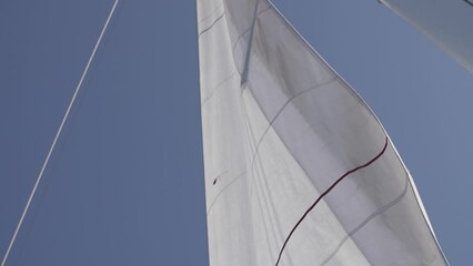 white sail of the yacht develops in the wind