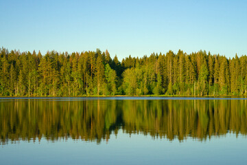 The horizon of green trees on the lake shore. Blue water with green pines. There are many trees on...