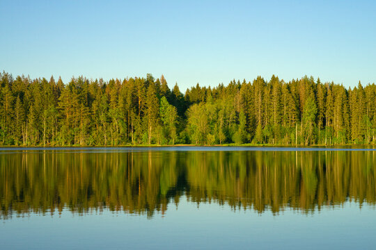 The horizon of green trees on the lake shore. Blue water with green pines. There are many trees on the shore by the water. Fishing on the lake. A trip to the forest.
