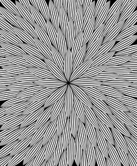 black and white abstract 
flower background