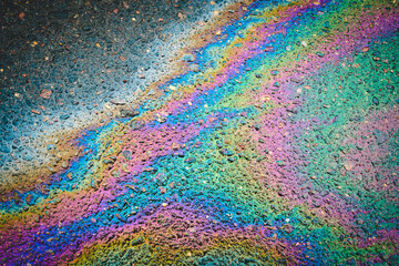 Puddles are contaminated with multicolored streams of oil. Oil stains on wet asphalt.