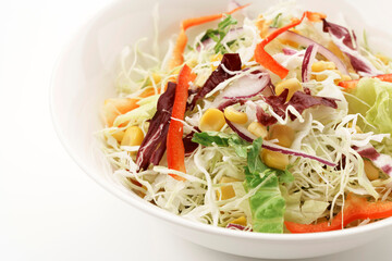 千切りキャベツとカラフル野菜のサラダ