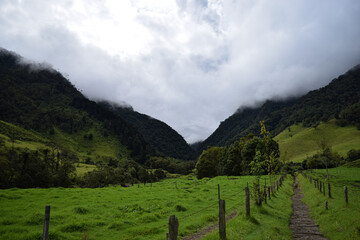 View of the mountains of Valle de Cocora- Salento-Colombia