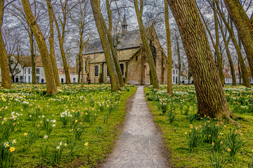 Obraz premium IL BEGI JNHOF O BEGHINAGGIO AUTENTICHE OASI DI PACE - UN LUOGO CHE OSPITAVA DONNE PIE - BRUGES, BELGIO.